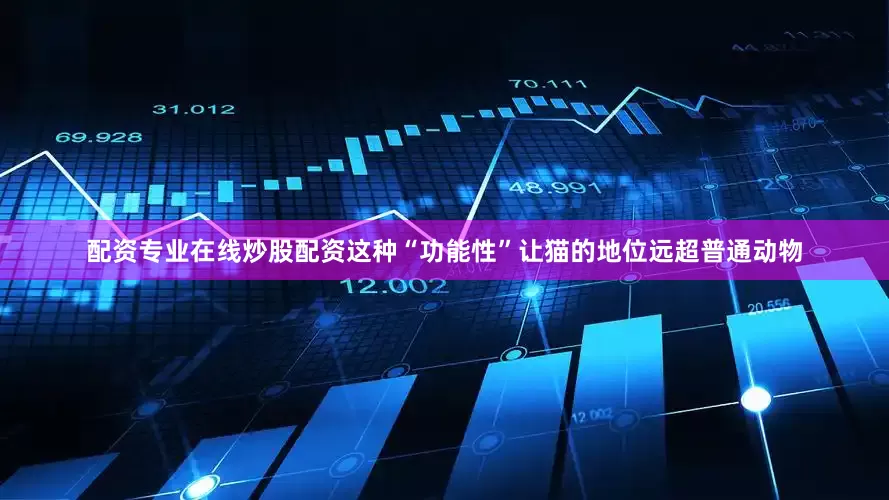 配资专业在线炒股配资这种“功能性”让猫的地位远超普通动物