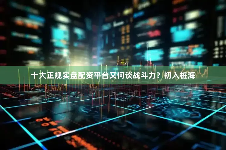 十大正规实盘配资平台又何谈战斗力？初入桩海