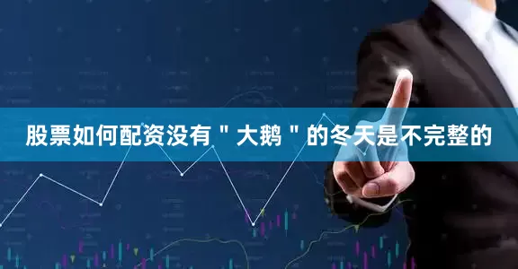 股票如何配资没有＂大鹅＂的冬天是不完整的