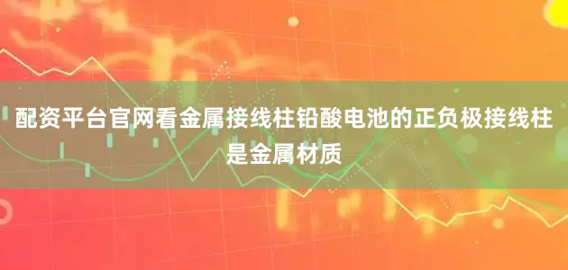 配资平台官网看金属接线柱铅酸电池的正负极接线柱是金属材质