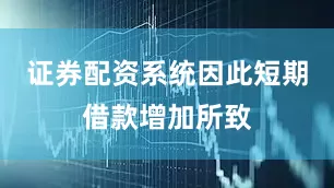 证券配资系统因此短期借款增加所致