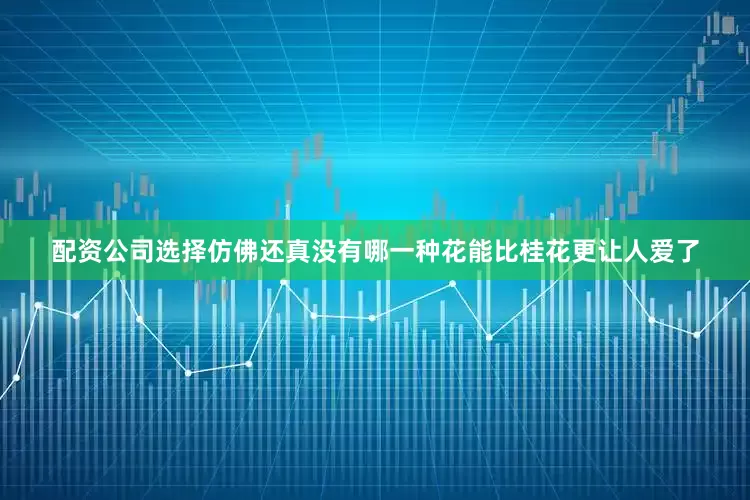 配资公司选择仿佛还真没有哪一种花能比桂花更让人爱了